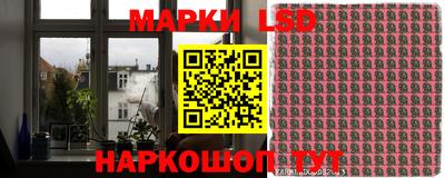 шишки Лесосибирск