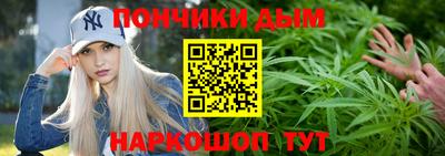 шишки Лесосибирск