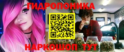 шишки Лесосибирск