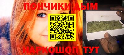 шишки Лесосибирск