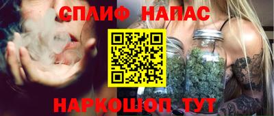 шишки Лесосибирск