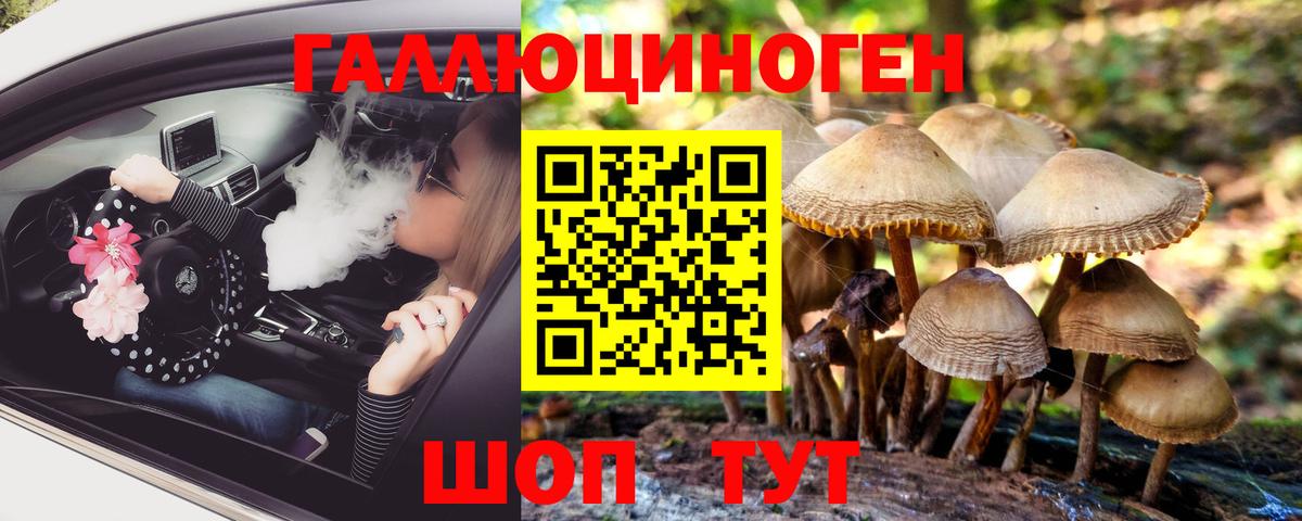 Галлюциногенные грибы ЛСД Торжок